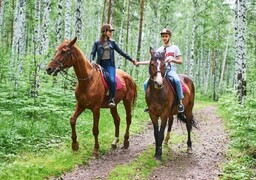 Прокат лошадей для двоих - Подарки в Екатеринбурге, подарочные сертификаты | интернет-магазин подарков с доставкой