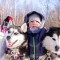 Катание на собачьей упряжке из лаек - Подарки в Екатеринбурге, подарочные сертификаты | интернет-магазин подарков с доставкой