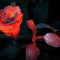 Кузнец своей розы Свидание в кузне - Подарки в Екатеринбурге, подарочные сертификаты | интернет-магазин подарков с доставкой