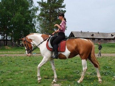 Езда на лошадях - Подарки в Екатеринбурге, подарочные сертификаты | интернет-магазин подарков с доставкой