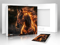 Огненная лошадь! Подарочная коробка - Подарки в Екатеринбурге, подарочные сертификаты | интернет-магазин подарков с доставкой