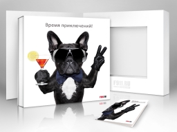 Харизматичный пес! Подарочная коробка - Подарки в Екатеринбурге, подарочные сертификаты | интернет-магазин подарков с доставкой