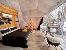 Глэмпинг Купольный домик с купелью в лесу - Подарки в Екатеринбурге, подарочные сертификаты | интернет-магазин подарков с доставкой