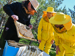 Экскурсия на Пасеку в Екатеринбурге - Подарки в Екатеринбурге, подарочные сертификаты | интернет-магазин подарков с доставкой