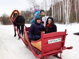 Катание на санях, запряженных лошадью - Подарки в Екатеринбурге, подарочные сертификаты | интернет-магазин подарков с доставкой