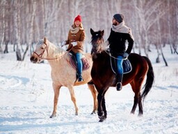 Конный поход - Подарки в Екатеринбурге, подарочные сертификаты | интернет-магазин подарков с доставкой