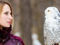Хищные птицы Знакомство в питомнике - Подарки в Екатеринбурге, подарочные сертификаты | интернет-магазин подарков с доставкой