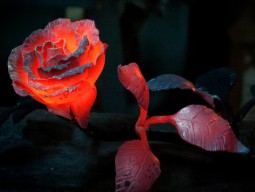 Кузнец своей розы Свидание в кузне - Подарки в Екатеринбурге, подарочные сертификаты | интернет-магазин подарков с доставкой