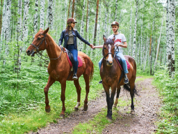 Прокат лошадей для двоих - Подарки в Екатеринбурге, подарочные сертификаты | интернет-магазин подарков с доставкой
