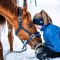Скиджоринг Катание за лошадью - Подарки в Екатеринбурге, подарочные сертификаты | интернет-магазин подарков с доставкой