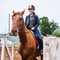 Конные прогулки Катание на лошадях - Подарки в Екатеринбурге, подарочные сертификаты | интернет-магазин подарков с доставкой