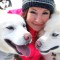 Катание на собачьей упряжке из лаек - Подарки в Екатеринбурге, подарочные сертификаты | интернет-магазин подарков с доставкой