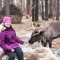 Катание на северных оленях - Подарки в Екатеринбурге, подарочные сертификаты | интернет-магазин подарков с доставкой