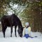 Прокат лошадей для двоих - Подарки в Екатеринбурге, подарочные сертификаты | интернет-магазин подарков с доставкой