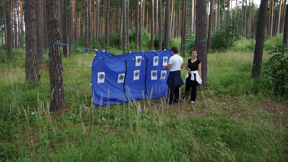 Подсчет попаданий в мишень