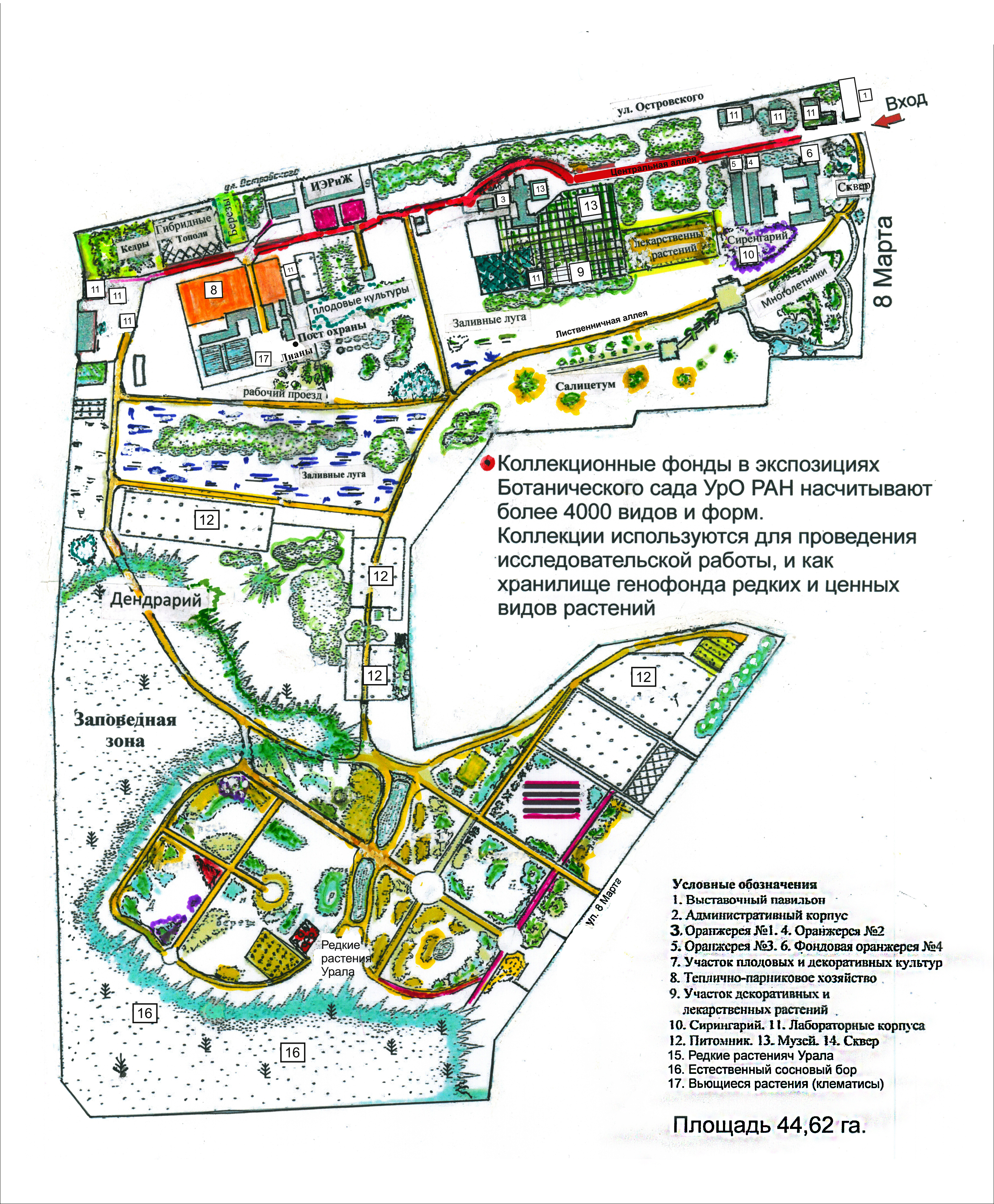 План Ботанического парка