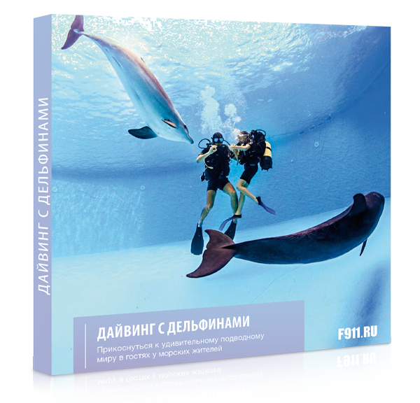 Подарок - Дайвинг с дельфинами в Екатеринбурге